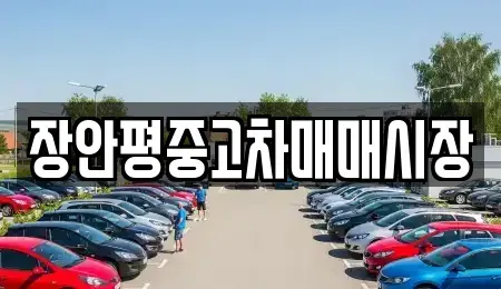 서울 중구 황학동 중고차 전문 장안평중고차매매시장