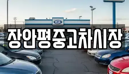 서울 중구 황학동 중고차 전문 장안평중고차시장