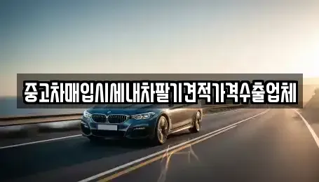 서울 중구 황학동 중고차매입 전문 중고차매입시세내차팔기견적가격수출업체