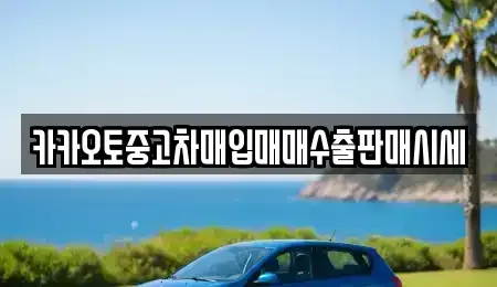 서울 중구 황학동 중고차매입 전문 카카오토중고차매입매매수출판매시세