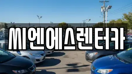 서울특별시 강서구 등촌동 단기렌트카 전문 씨엔에스렌터카