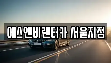 서울특별시 강서구 등촌동 단기렌트카 전문 에스앤비렌터카 서울지점