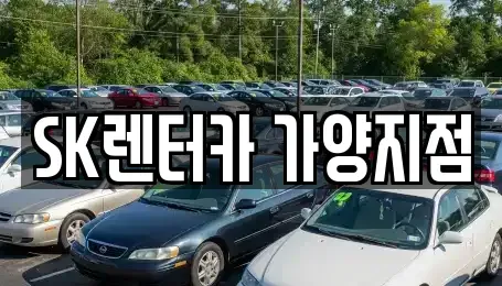 서울특별시 강서구 등촌동 장기렌트카 전문 SK렌터카 가양지점