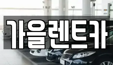 서울특별시 강서구 등촌동 장기렌트카 전문 가을렌트카