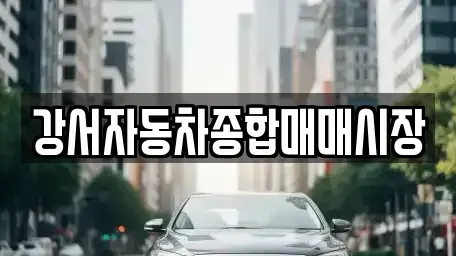 서울특별시 강서구 등촌동 중고차 전문 강서자동차종합매매시장