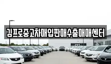 서울특별시 강서구 등촌동 중고차매입 전문 김프로중고차매입판매수출매매센터