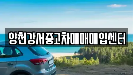 서울특별시 강서구 등촌동 중고차매입 전문 양천강서중고차매매매입센터