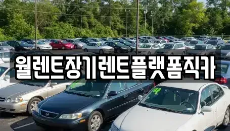 서울특별시 마포구 동교동 장기렌트카 전문 월렌트장기렌트플랫폼직카
