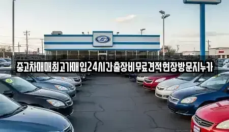 서울특별시 마포구 동교동 중고차 전문 중고차매매최고가매입24시간출장비무료견적현장방문지누카