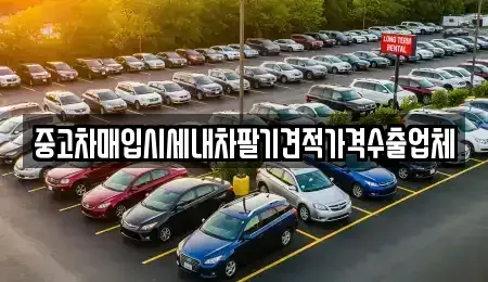 서울특별시 마포구 동교동 중고차매입 전문 중고차매입시세내차팔기견적가격수출업체