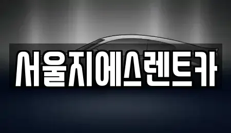 서울특별시 서대문구 홍제동 렌트카 전문 서울지에스렌트카