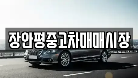 서울특별시 송파구 풍납동 중고차매매 전문 장안평중고차매매시장