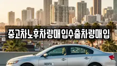 서울특별시 송파구 풍납동 중고차매입 전문 중고차노후차량매입수출차량매입