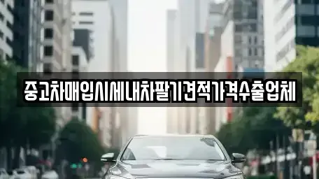 서울특별시 송파구 풍납동 중고차매입 전문 중고차매입시세내차팔기견적가격수출업체