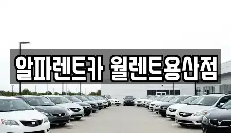 서울특별시 용산구 용산동3가 렌트카 전문 알파렌트카 월렌트용산점