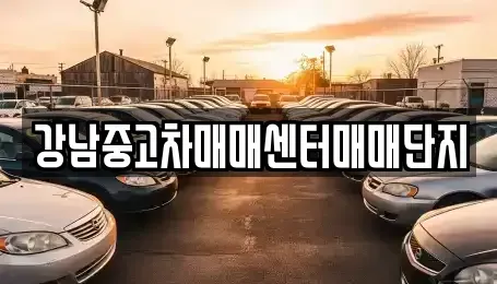 서울특별시 용산구 용산동3가 중고차 전문 강남중고차매매센터매매단지
