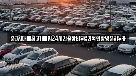 서울특별시 종로구 청진동 중고차 전문 중고차매매최고가매입24시간출장비무료견적현장방문지누카