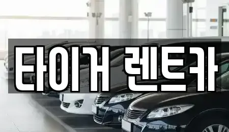 울산광역시 남구 여천동 렌트카 전문 타이거 렌트카