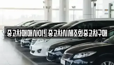 울산광역시 남구 여천동 중고차 전문 중고차매매사이트중고차시세조회중고차구매