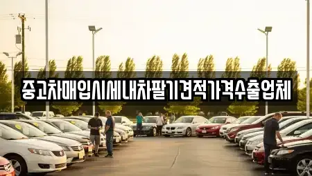 울산광역시 남구 여천동 중고차매입 전문 중고차매입시세내차팔기견적가격수출업체