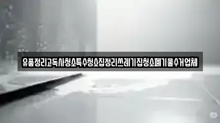 유품정리고독사청소특수청소집정리쓰레기집청소폐기물수거업체