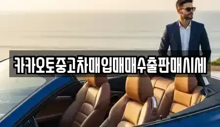 인천 계양구 장기동 중고차 전문 카카오토중고차매입매매수출판매시세