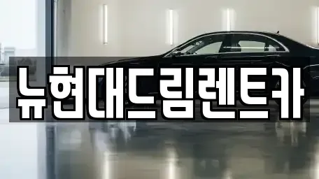 인천 계양구 평동 렌트카 전문 뉴현대드림렌트카