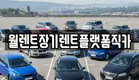 인천광역시 강화군 양사면 렌트카 전문 월렌트장기렌트플랫폼직카