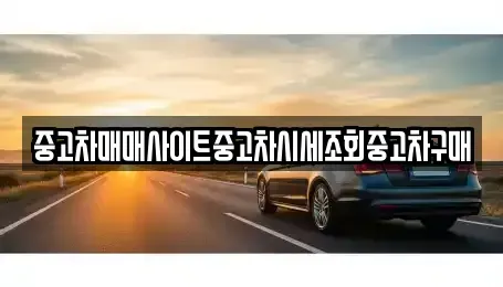 인천광역시 강화군 양사면 중고차,렌트카,중고차매입,중고차매매,장기렌트카,단기렌트카
