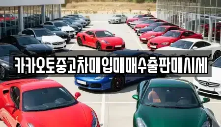 인천광역시 강화군 양사면 중고차매입 전문 카카오토중고차매입매매수출판매시세