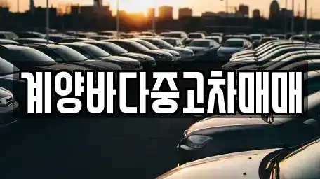 인천광역시 계양구 중고차 전문 계양바다중고차매매