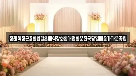 경상남도 김해시 관동동 웨딩박람회 가격 비교 2