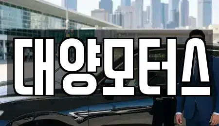 전남 구례군 용방면 중고차 전문 대양모터스