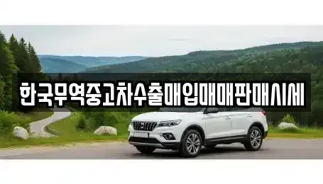 전남 나주시 삼영동 중고차 전문 한국무역중고차수출매입매매판매시세