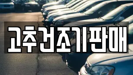 전남 보성군 노동면 중고차매매 전문 고추건조기판매