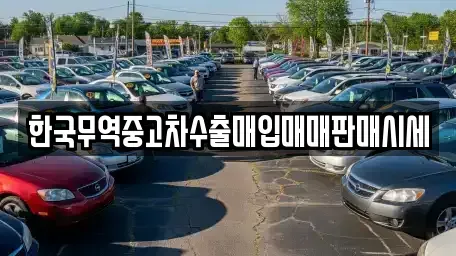 전남 보성군 노동면 단기렌트카,중고차매입,중고차매매,중고차,렌트카,장기렌트카