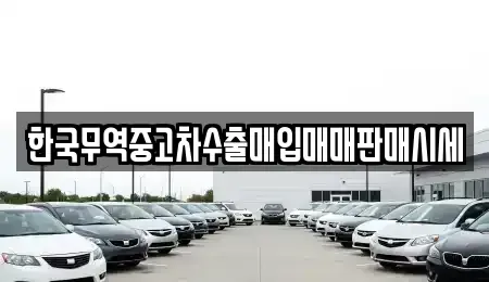 전남 순천시 금곡동 중고차매매 전문 한국무역중고차수출매입매매판매시세