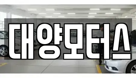 전라남도 나주시 노안면 중고차매매 전문 대양모터스