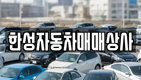 전라남도 나주시 노안면 중고차매매 전문 한성자동차매매상사