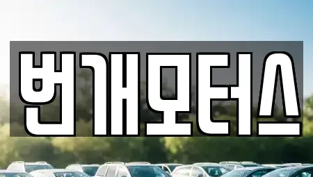 전북특별자치도 익산시 남중동 중고차 전문 번개모터스