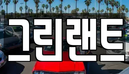 전북특별자치도 전주시 완산구 서완산동2가 렌트카 전문 그린랜트