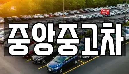 전북특별자치도 전주시 완산구 서완산동2가 중고차 전문 중앙중고차