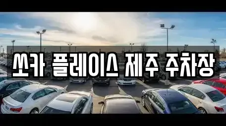 제주 서귀포시 성산읍 렌트카,단기렌트카,장기렌트카,중고차,중고차매매,중고차매입