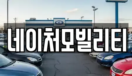 제주특별자치도 제주시 용강동 렌트카 전문 네이처모빌리티