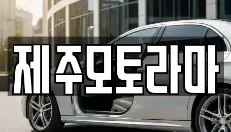 제주특별자치도 제주시 용강동 중고차 전문 제주모토라마