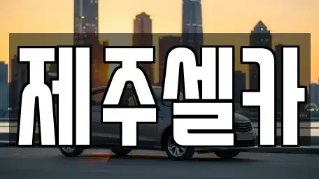 제주특별자치도 제주시 용강동 중고차 전문 제주셀카