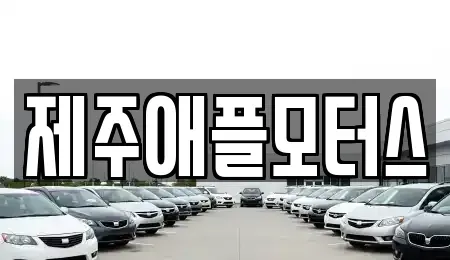 제주특별자치도 제주시 용강동 중고차 전문 제주애플모터스