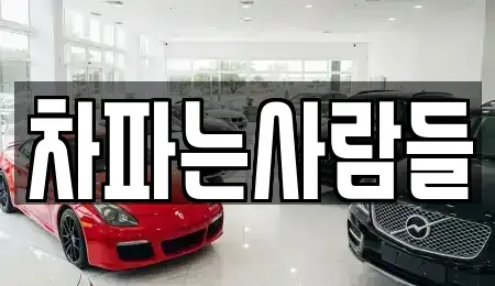 제주특별자치도 제주시 용강동 중고차매입 전문 차파는사람들