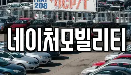 제주특별자치도 제주시 조천읍 렌트카 전문 네이처모빌리티