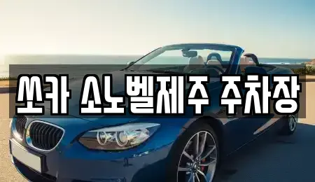 제주특별자치도 제주시 조천읍 렌트카 전문 쏘카 소노벨제주 주차장